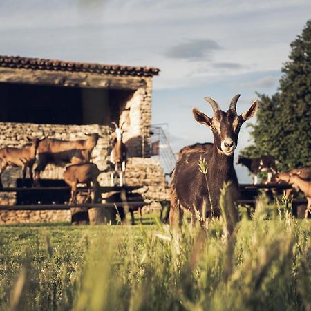 Le Domaine Du Castellas Sivergues Dış mekan fotoğraf