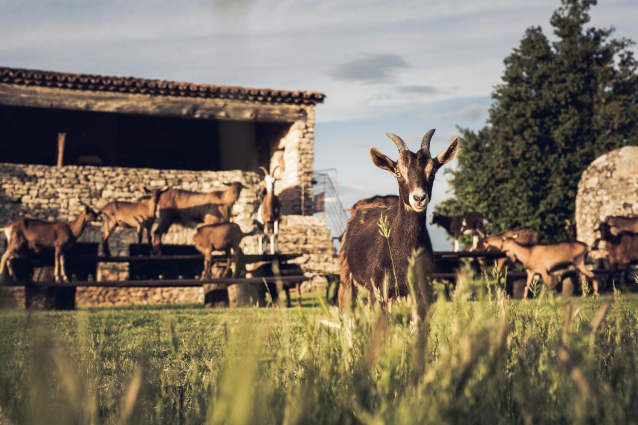 Le Domaine Du Castellas Sivergues Dış mekan fotoğraf